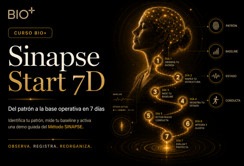 Sinapse Start 7D